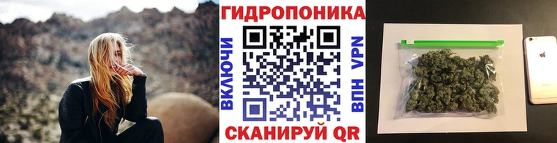 как найти наркотики  Лермонтов  Марихуана SATIVA & INDICA 